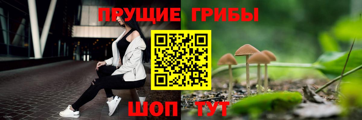 Галлюциногенные грибы мухоморы Лесосибирск
